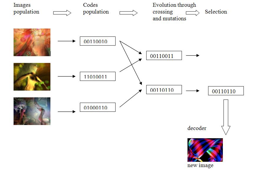 Primeval - Structure G�n�tique